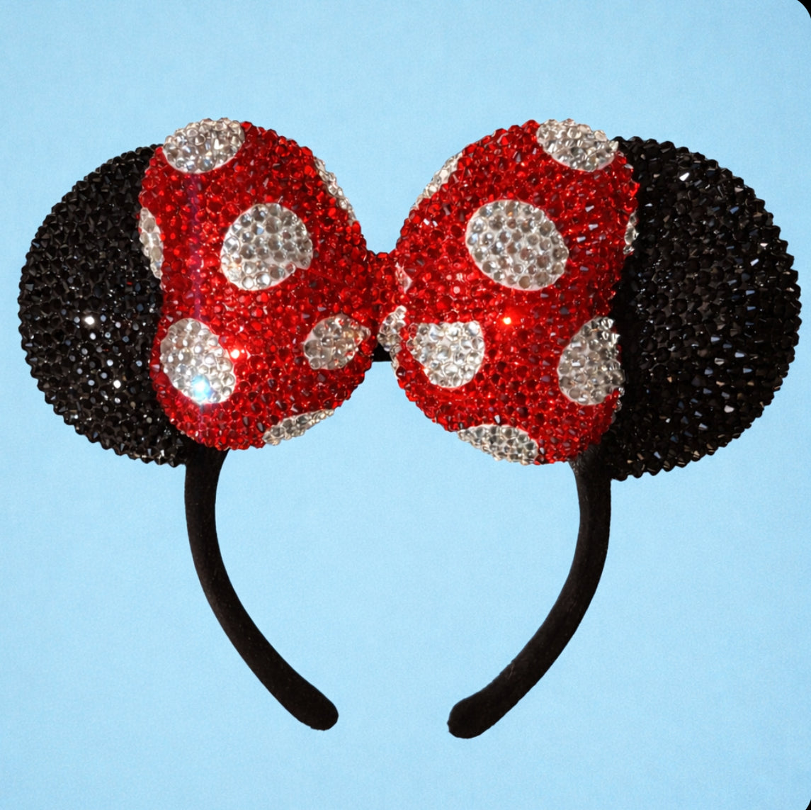 Theme Park Accessories